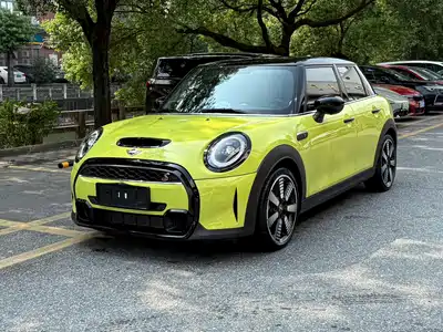 MINI MINI 2022