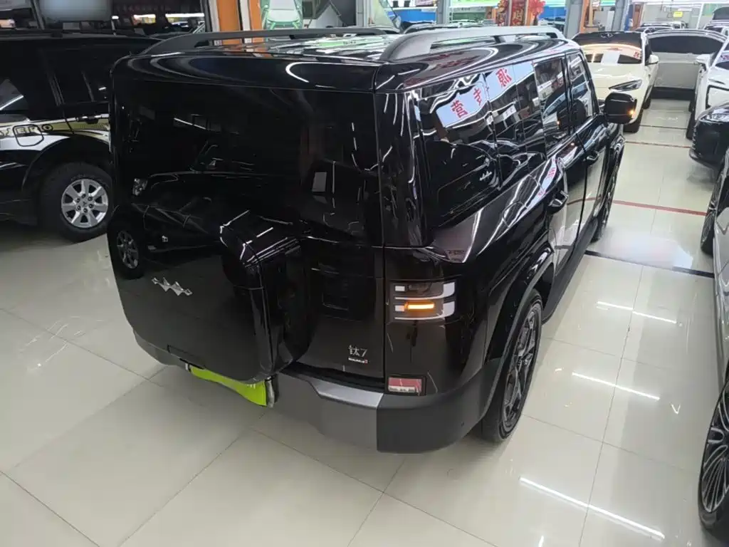 Fang Cheng Bao Ti7 2025