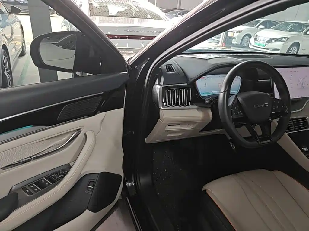 BYD Song PLUS New Energy 2024 — фото 16