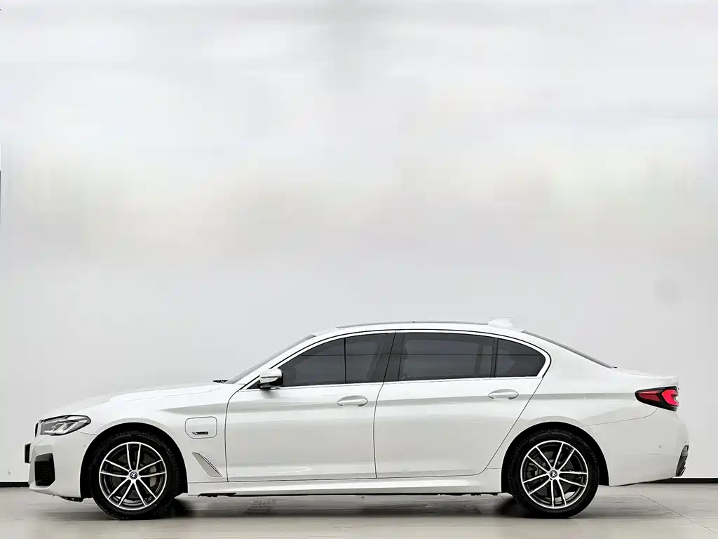 BMW 5 Series New Energy 2021