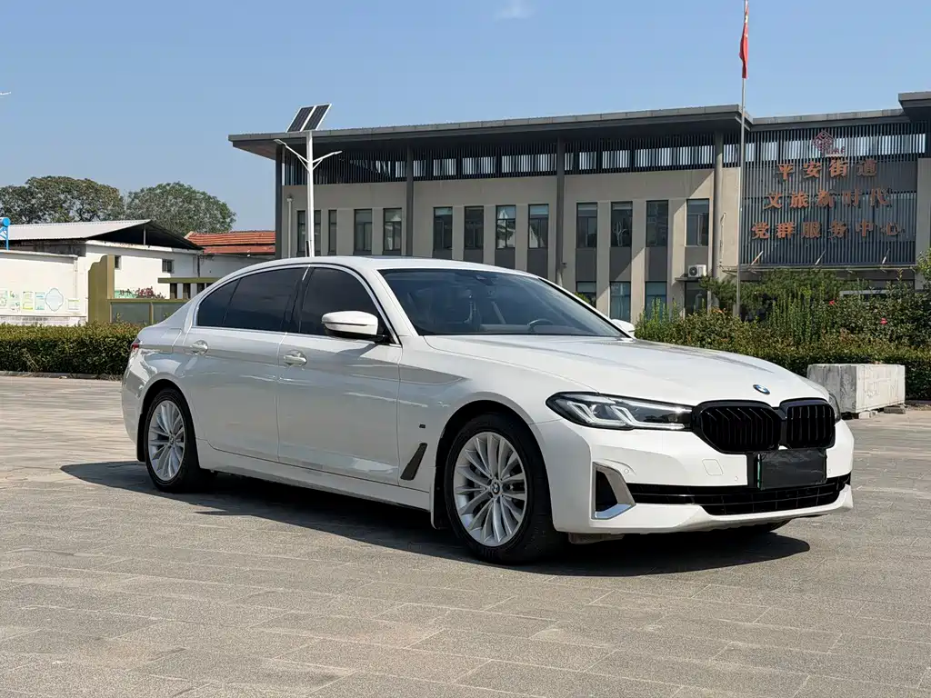 BMW 5 Series New Energy 2020