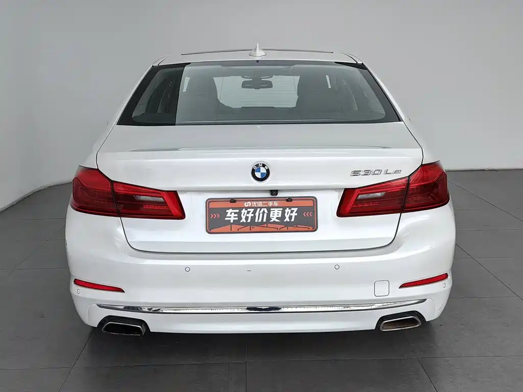 BMW 5 Series New Energy 2019