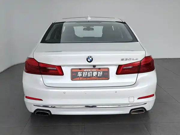 BMW 5 Series New Energy 2019