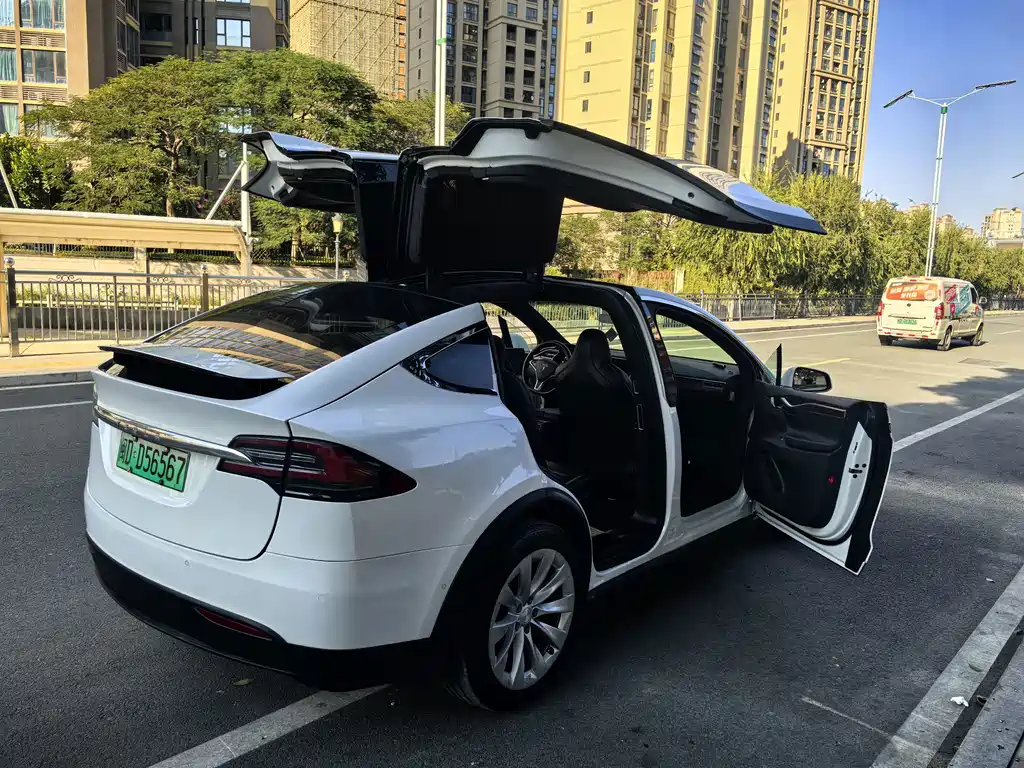 Tesla Model X 2018 — фото 9