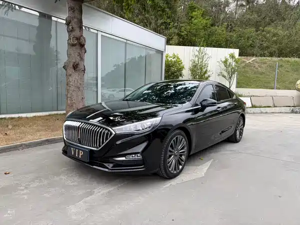 Hongqi H5 2020
