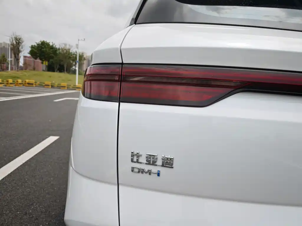 BYD Pro New Energy 2023 — фото 38