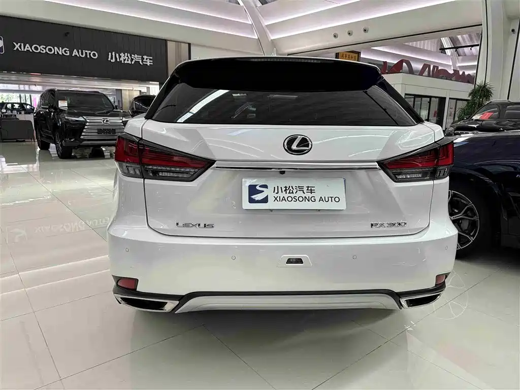 Lexus RX 2021 — фото 20