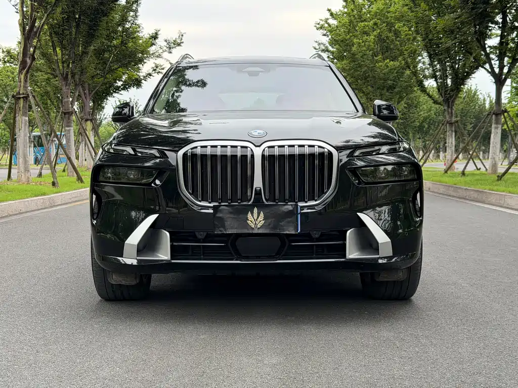 BMW X7 2023 — фото 2