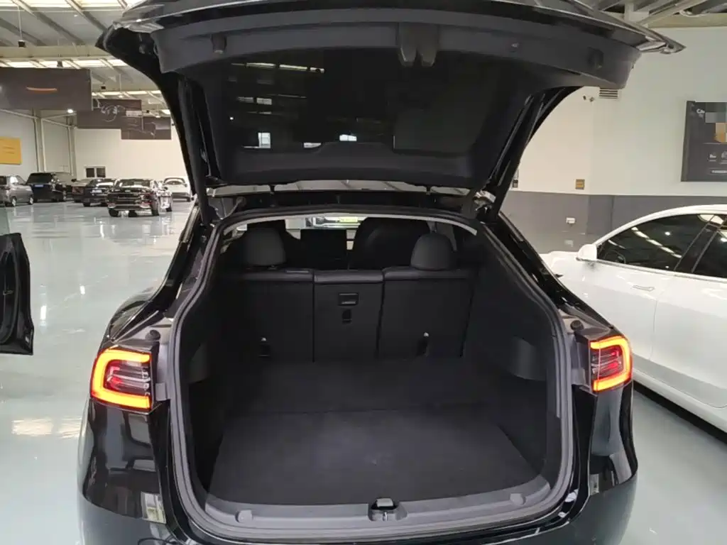 Tesla Model Y 2021 — фото 19