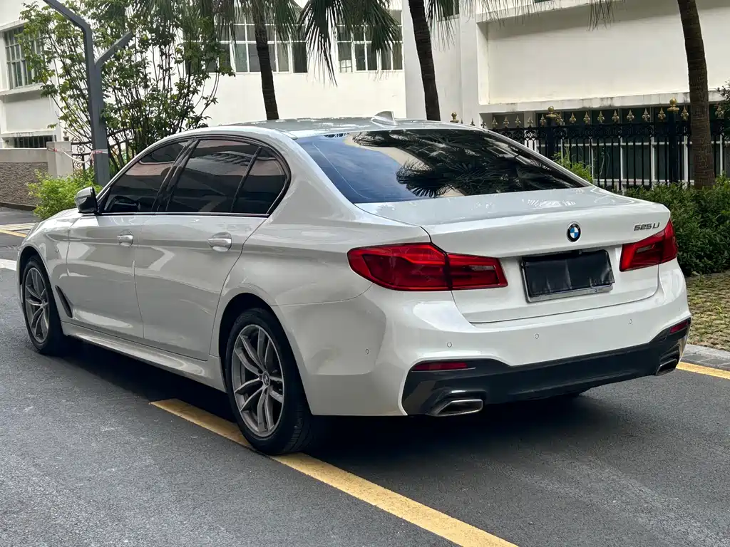 BMW 5 Series 2019