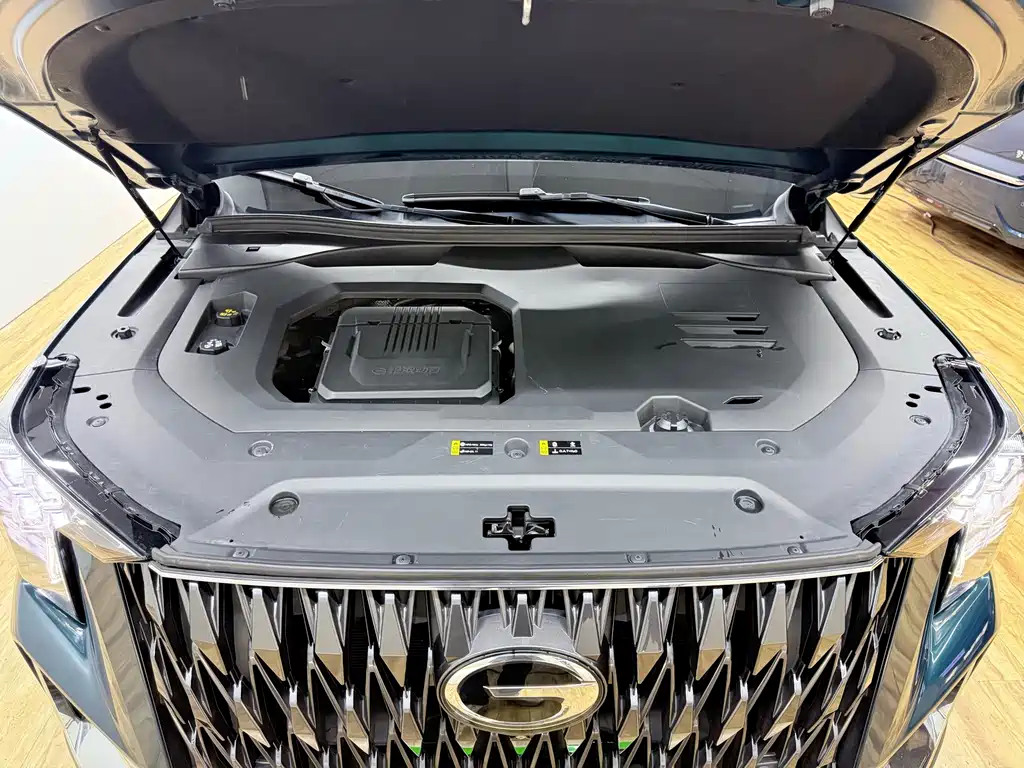 GAC Motor Trumpchi GS8 2022 — фото 27