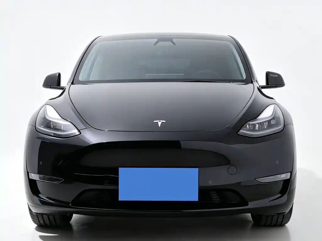 Tesla Model Y 2021 — фото 2