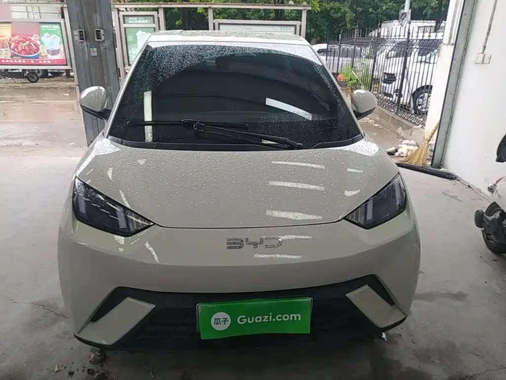 BYD Seagull 2025