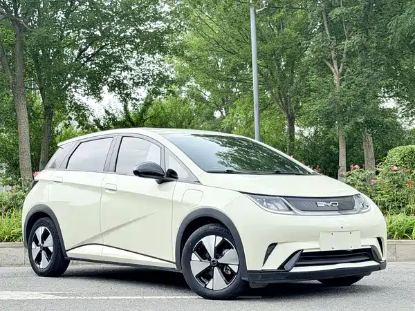 BYD Dolphin 2023