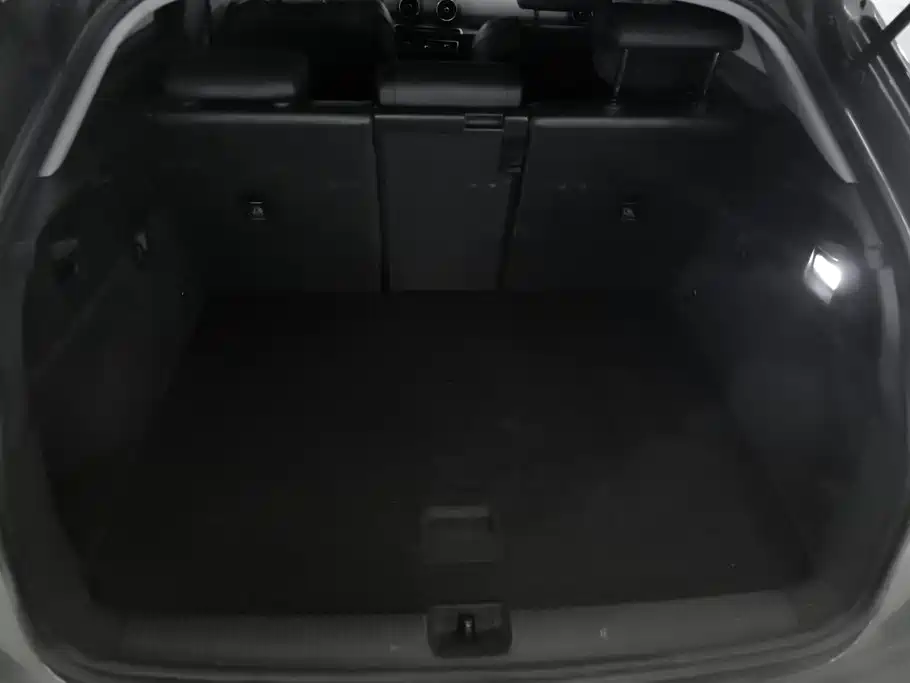 Audi Q2L E-Tron 2020