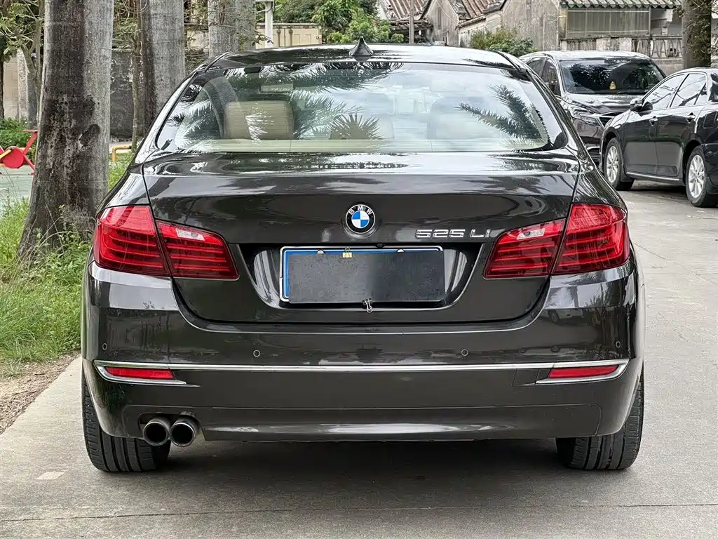 BMW 5 Series 2014 — фото 8