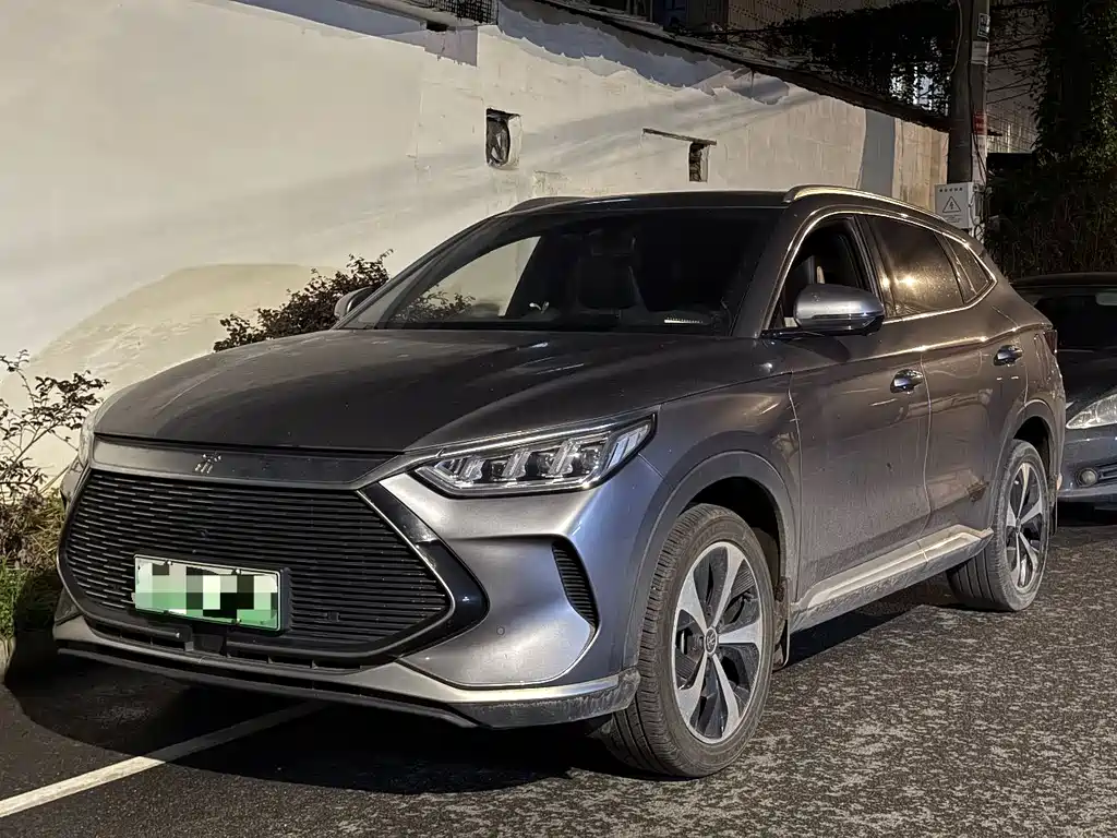 BYD PLUS New Energy 2021 — фото 1