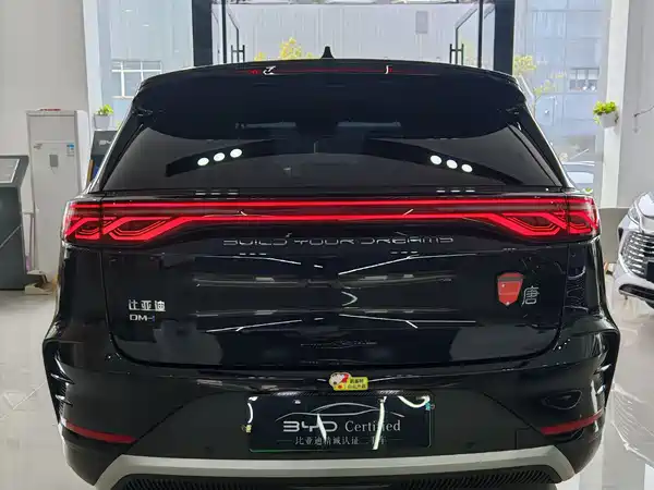 BYD Tang New Energy 2024