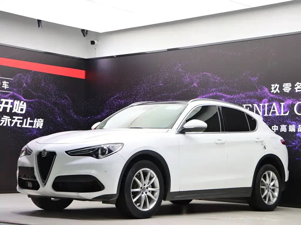 Alfa Romeo Stelvio 2019 — фото 3