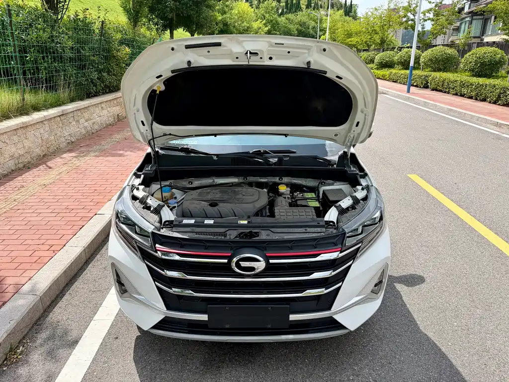 GAC Trumpchi GS3 2023 — фото 17