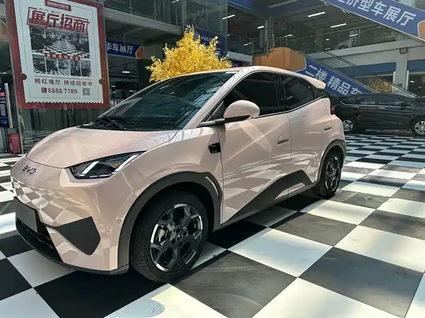 BYD Seagull 2026