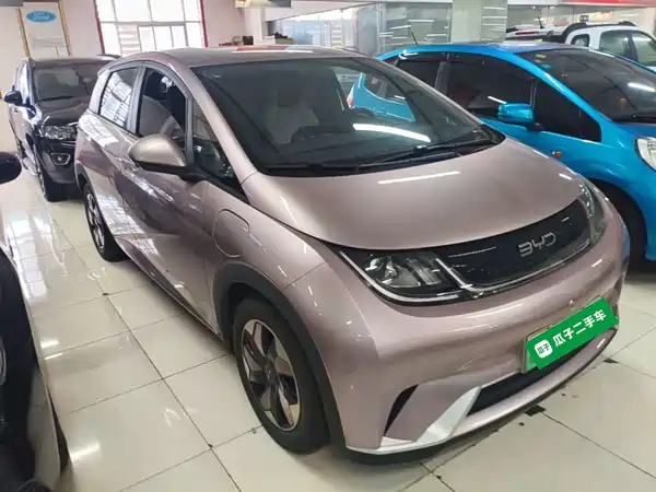 BYD Dolphin 2024