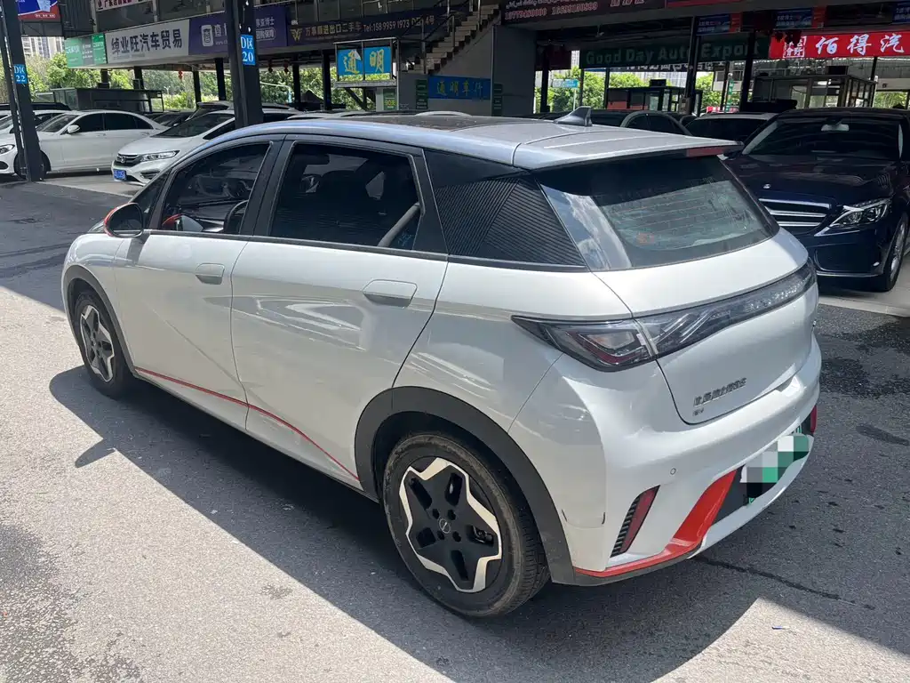 BYD Dolphin 2022