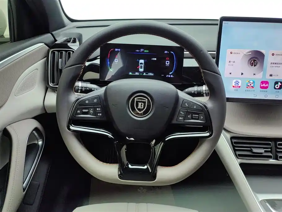 BYD Pro New Energy 2024 — фото 15