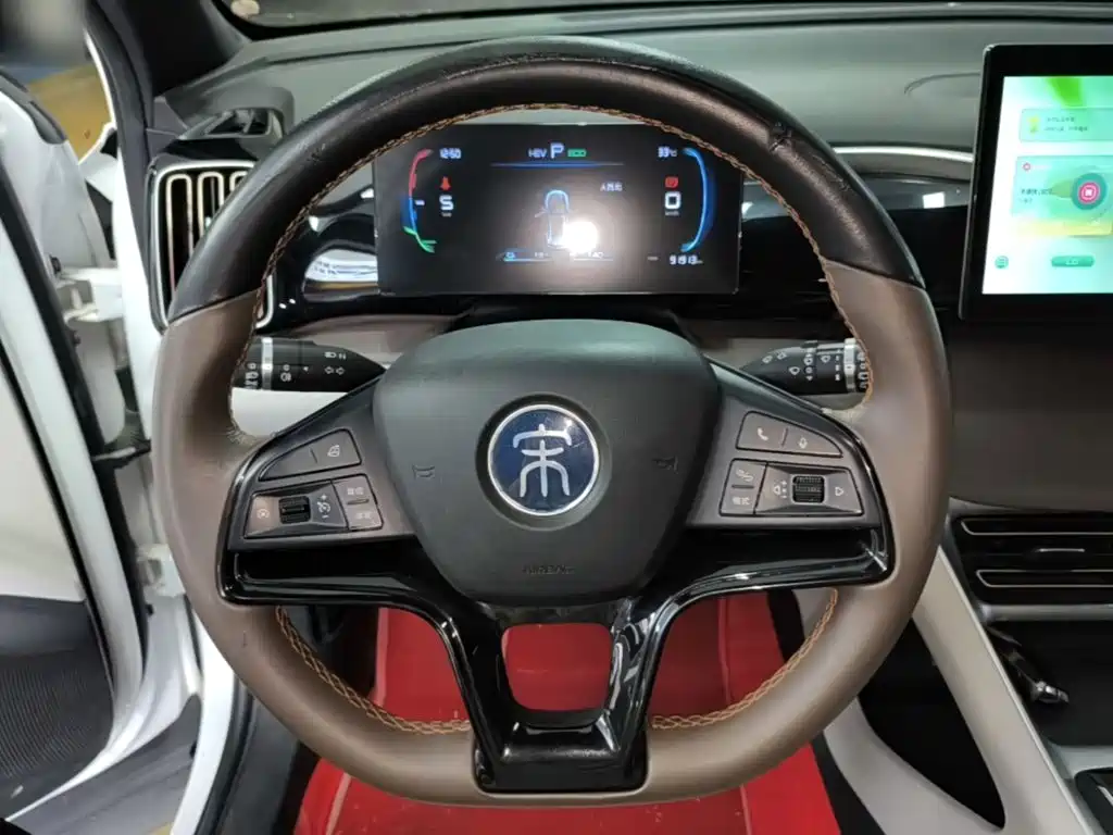BYD Song Pro New Energy 2022 — фото 11