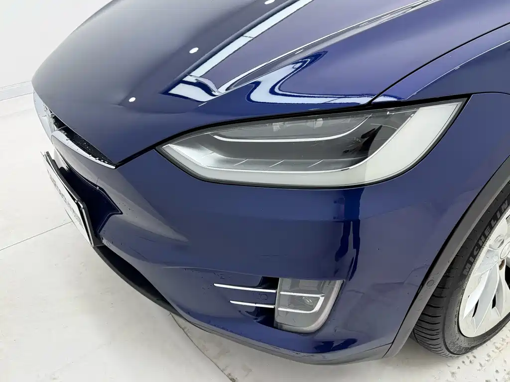 Tesla Model X 2018 — фото 20