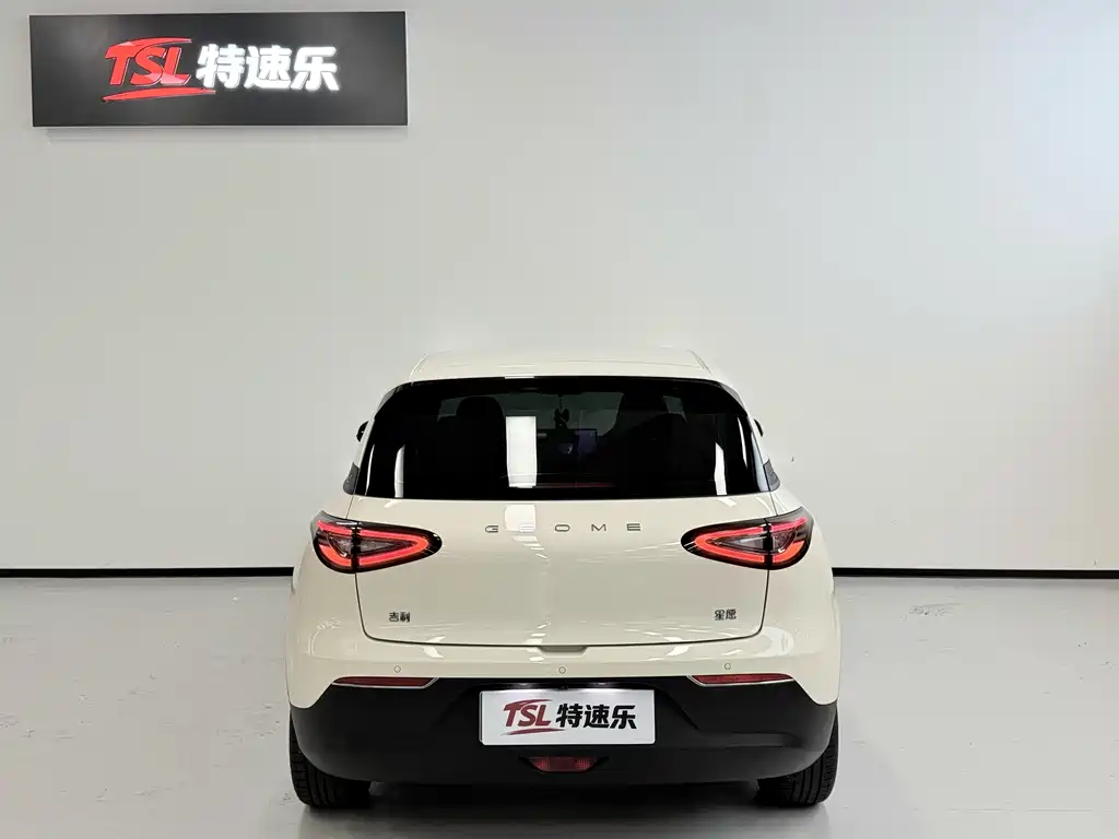 Geely Galaxy Starwish 2024 — фото 5