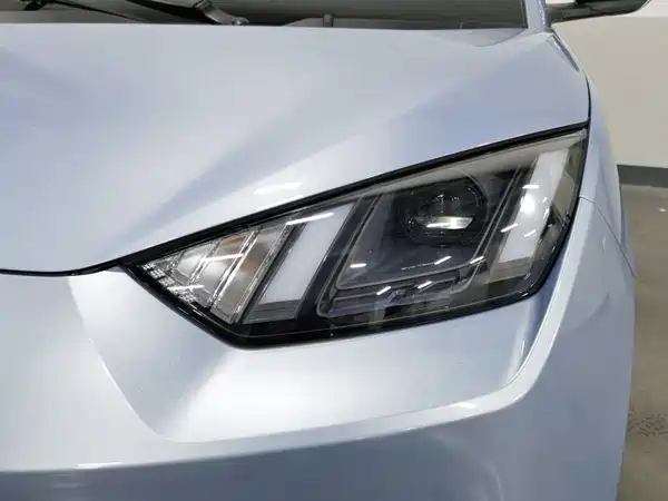 BYD Seagull 2024