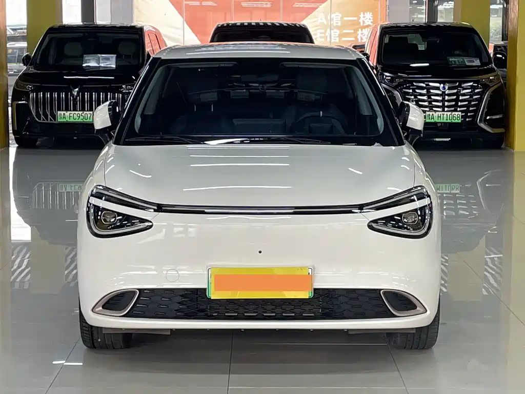 Dongfeng Nano 01 2024