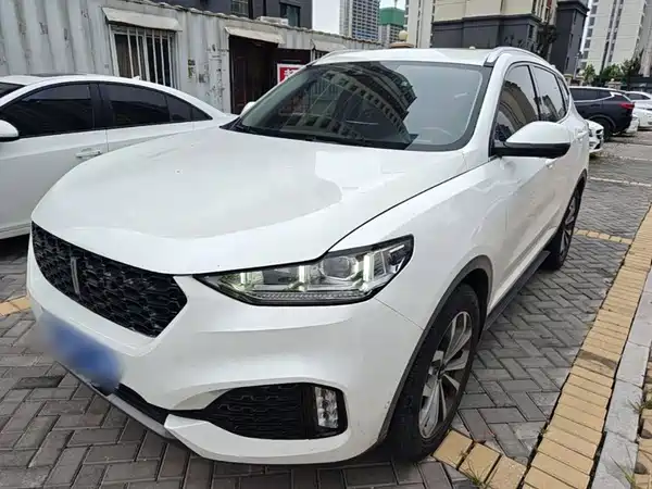 Wey VV6 2019