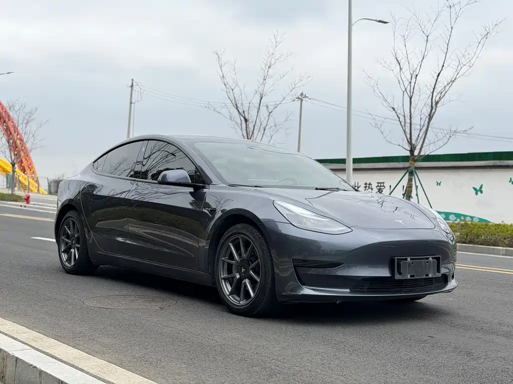 Tesla Model 3 2021 — фото 3