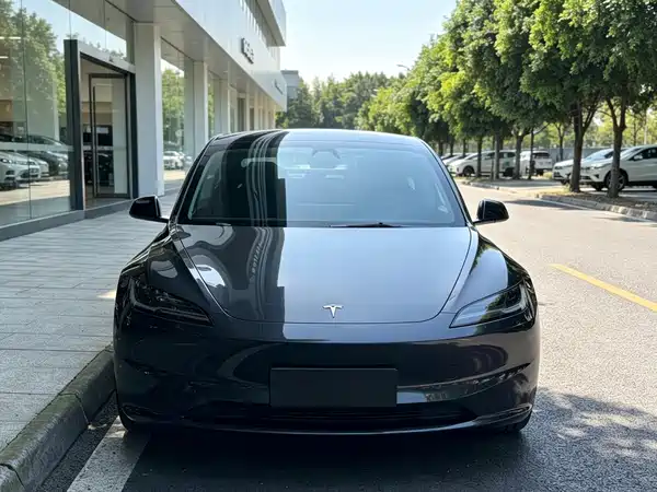 Tesla Model 3 2025