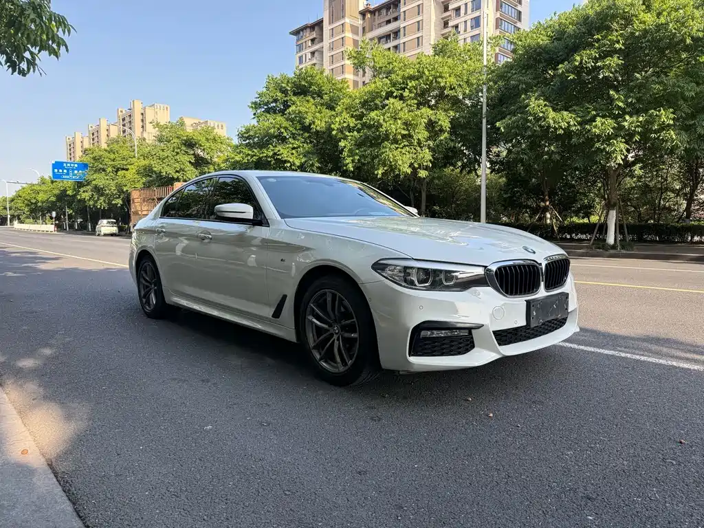 BMW 5 Series 2018