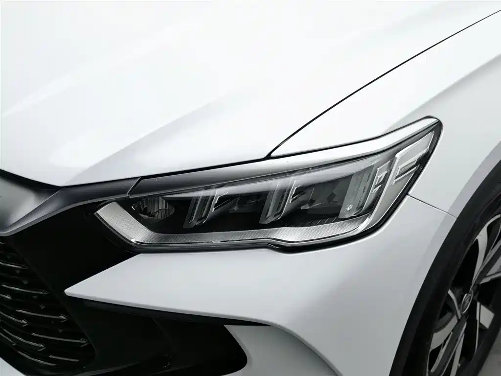 BYD Pro New Energy 2024