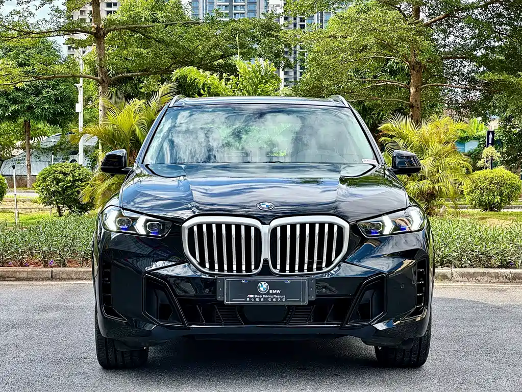 BMW X5 2014 — фото 2