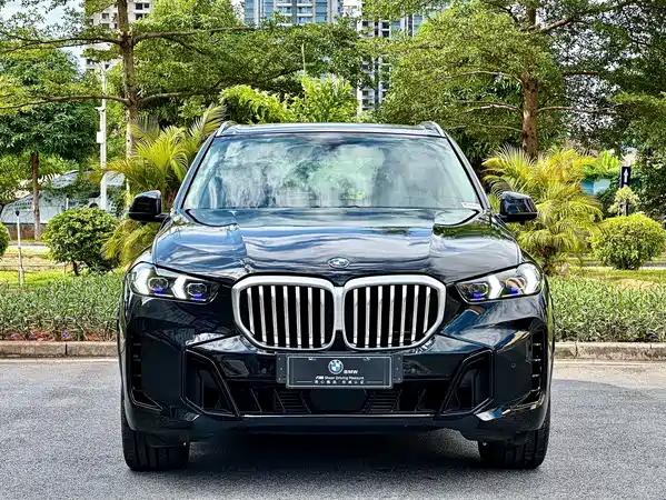 BMW X5 2014