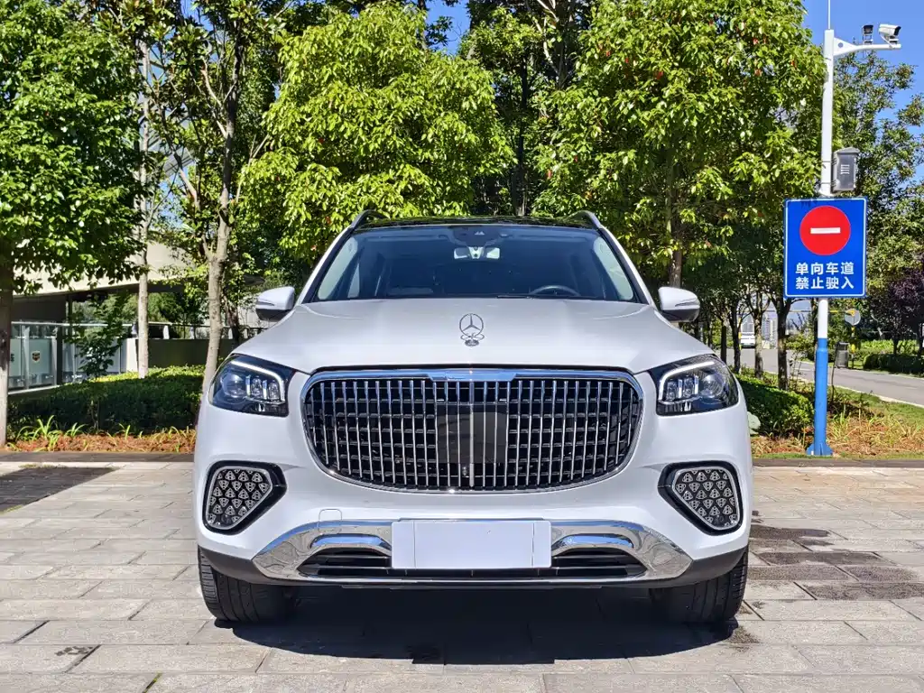 Mercedes-Benz GLS 2020 — фото 2