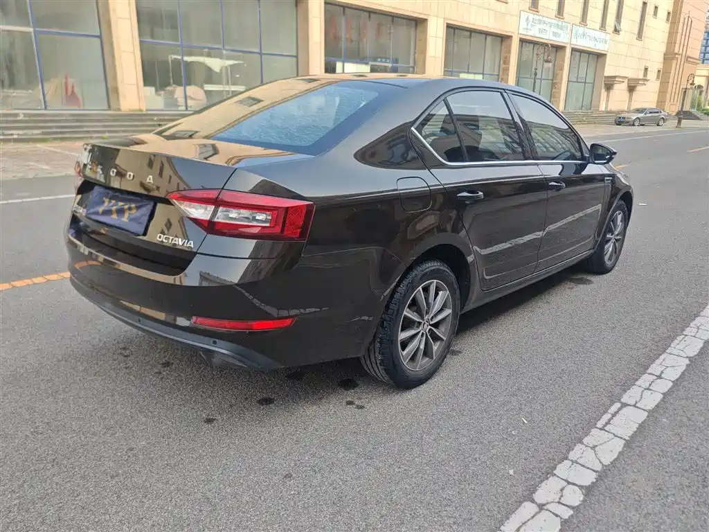 Skoda Octavia 2020 — фото 9