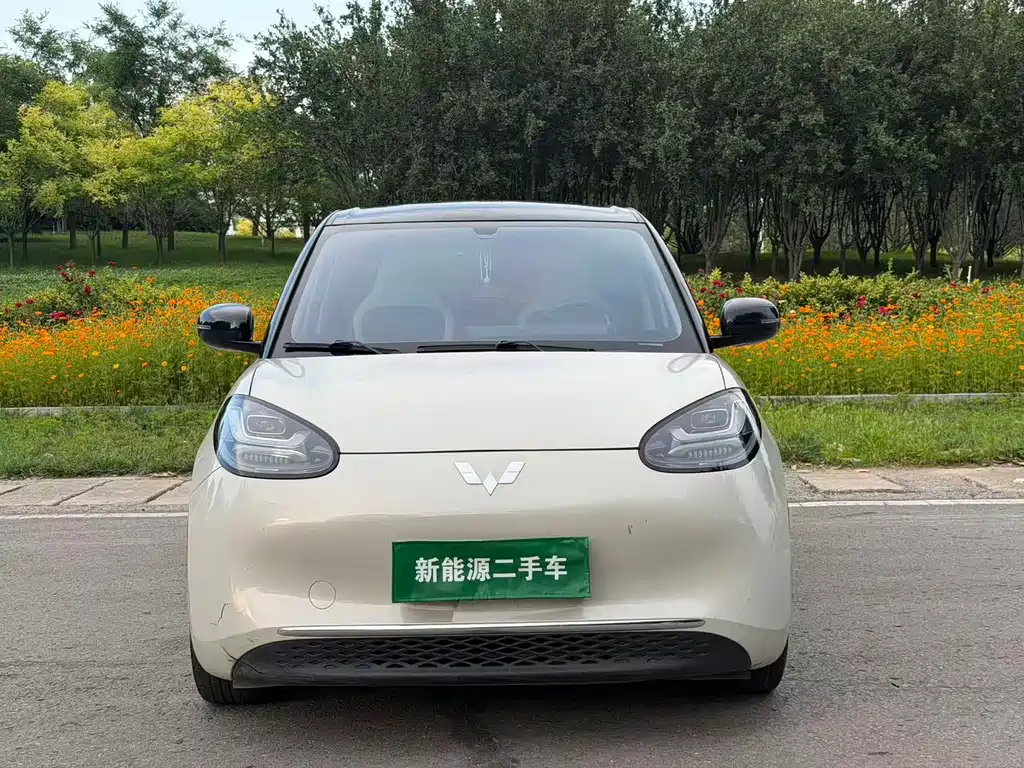 Wuling Bingo 2024
