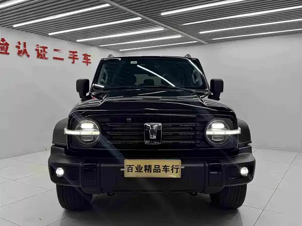 Tank 300 2024