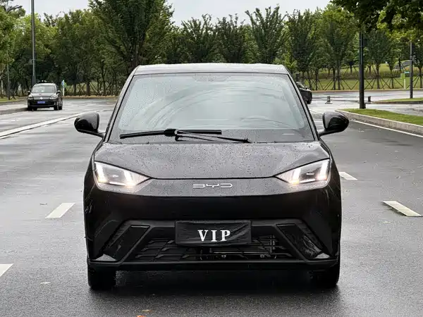 BYD Seagull 2024