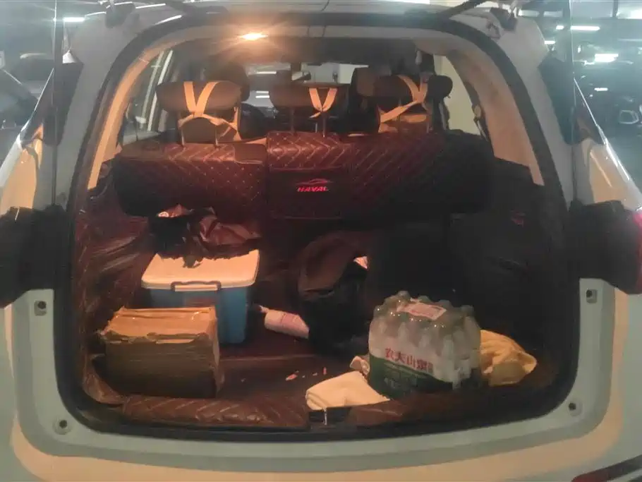 Haval M6 2019