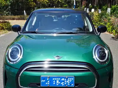 MINI MINI 2022