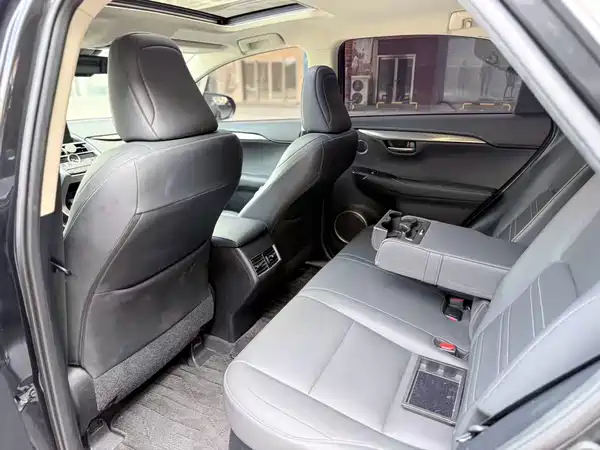 Lexus NX 2020