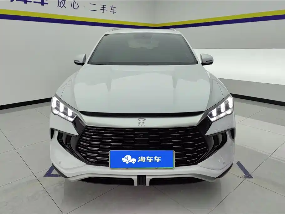 BYD Pro New Energy 2024 — фото 2