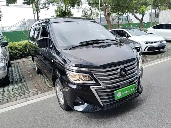 Dongfeng Lingzhi 2024